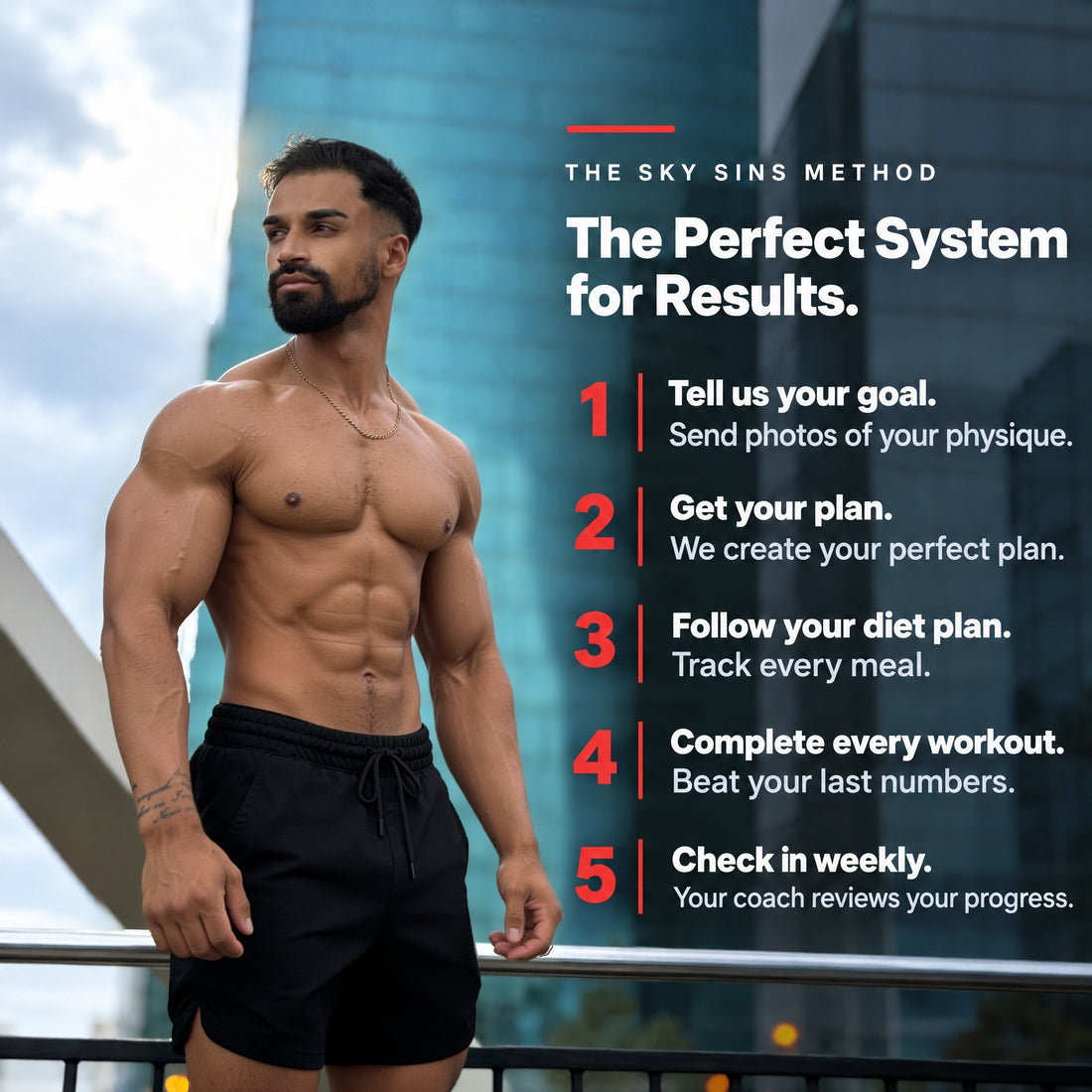 The Perfect System for Results in 5 steps.
